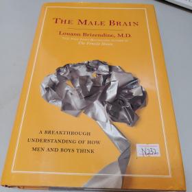 The Male Brain