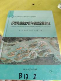 苏里格致密砂岩气储层定量表征