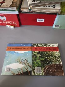 黑眼睛丛书:梅花鹿的角树、红房子红房子红房子（2册合售）