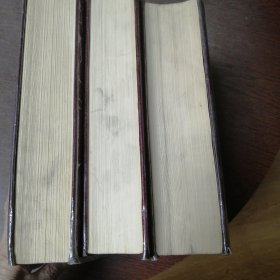 中国篆刻大字典（上中下）