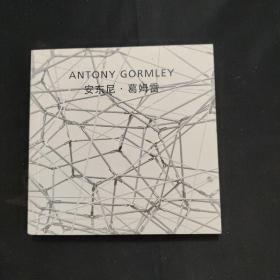 ANTONY GORMLEY（安东尼。葛姆雷）另一个奇异
