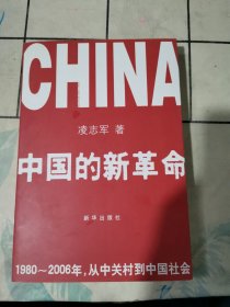 中国的新革命：1980-2006年，从中关村到中国社会