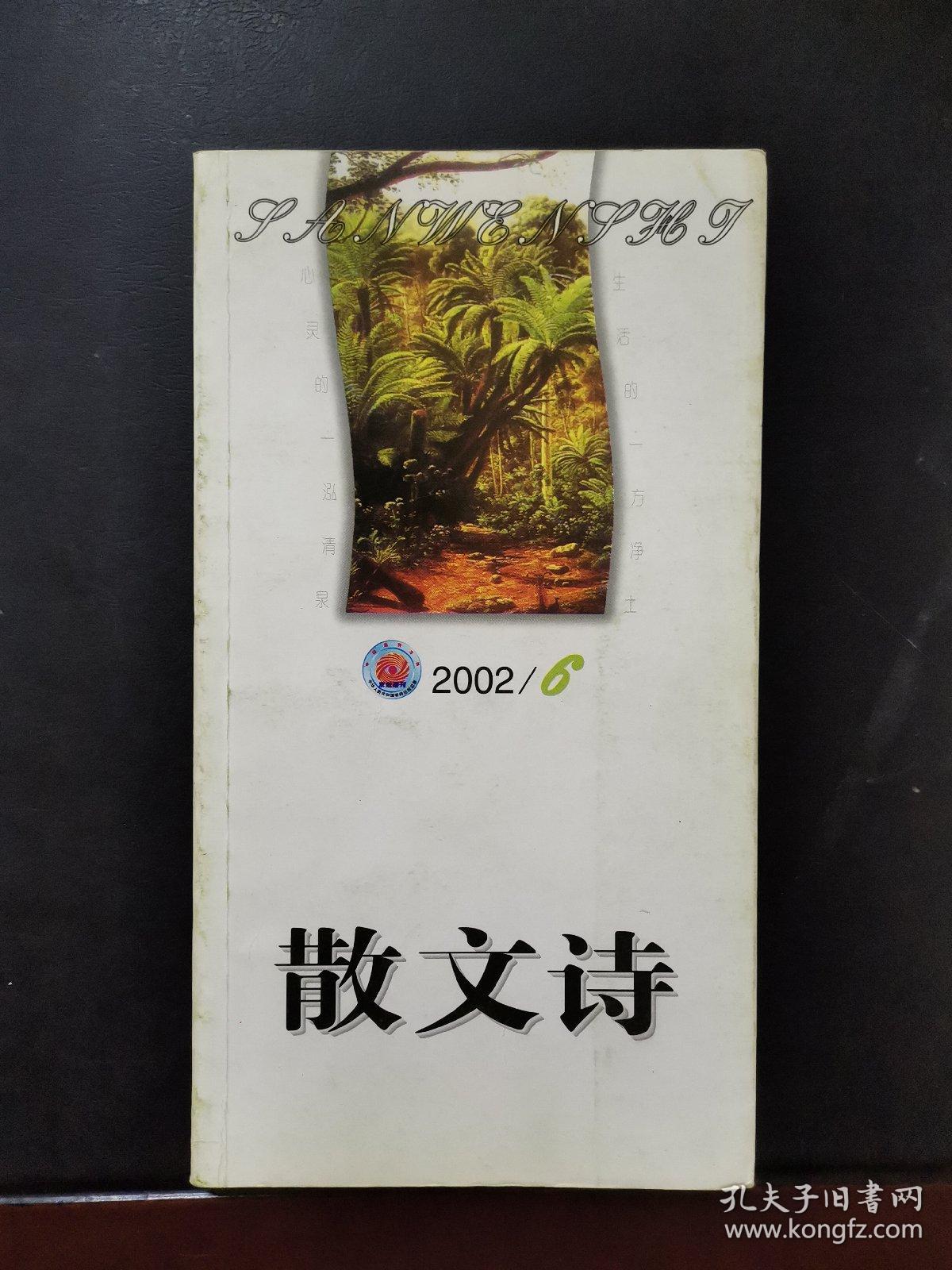 散文诗 2002年第6期