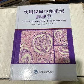 实用泌尿生殖系统病理学