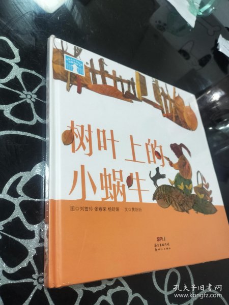 树叶上的小蜗牛