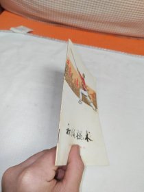 初级棍术