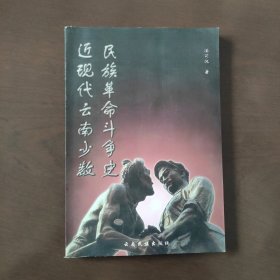 近现代云南少数民族革命斗争史