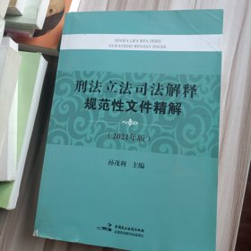 刑法立法司法解释规范性文件精解(2021年版)