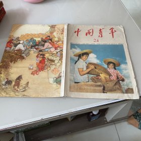 老杂志 中国青年 1963 24期封面