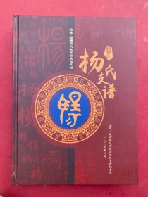 龙陵·赧洒杨氏有林祖续修支谱 杨氏支谱 大16开精装