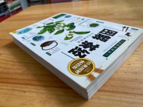 图解茶经：认识中国茶道
