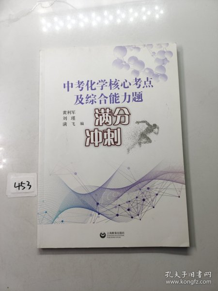 中考化学核心考点及综合能力题满分冲刺