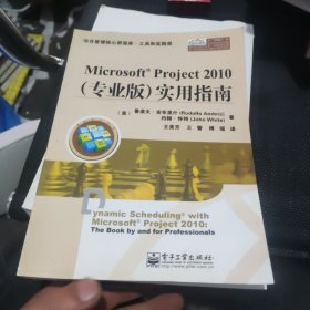 项目管理核心资源库·工具和实践类：Microsoft Project 2010（专业版）实用指南