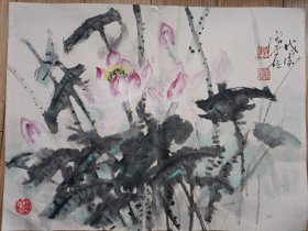 著名画家 宋雨桂 菏花