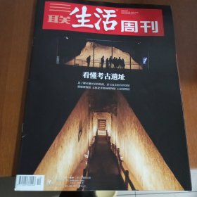 三联生活周刊（看懂考古遗址）