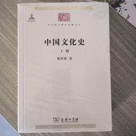 中国文化史（上下册）