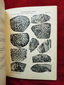 民国21年国立北平研究院<中国南部二叠纪珊瑚化石>道林纸印、中文简介、英文,有柯罗版大图16张,净重1公斤,稀见黄汲清院士著作