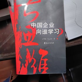 大思维：中国企业向谁学习