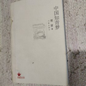 中国知青梦