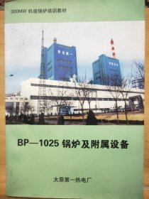 BP1025锅炉及附属设备
