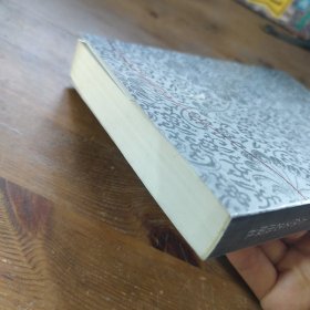 中国新锐作家文丛·诗解毒