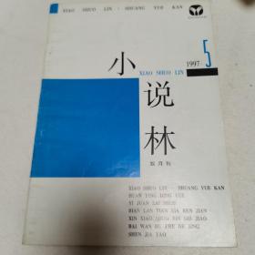 小说林1997