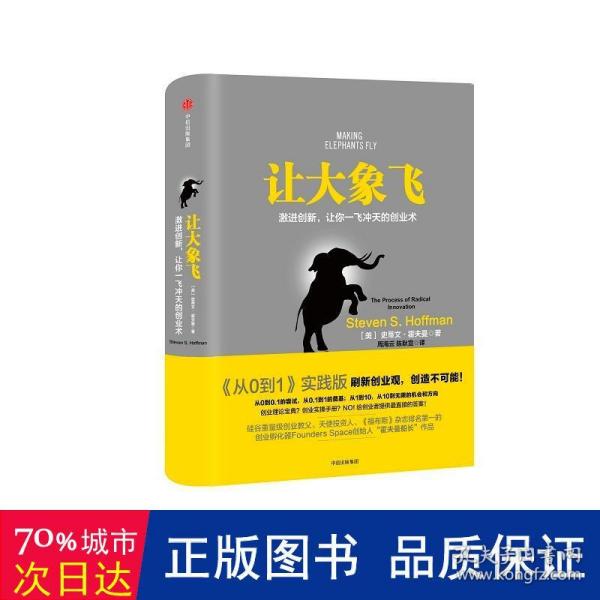 让大象飞:激进创新，让你一飞冲天的创业术