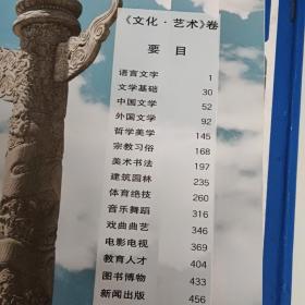 中国少年儿童百科全书：文化、艺术、人类、社会2册合售30元