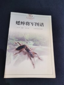 蟋蟀将军图谱