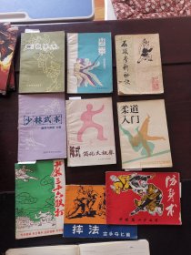 形意拳、查拳综合套路、少林武术-擒拿与解脱火棍、陈氏简化太极拳、柔道入门、石头拳术秘诀、少林三十六跌打、摔法空手夺匕首、防身术、共九本