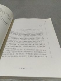 索恩丛书·掘墓人：魏玛共和国的最后一个冬天