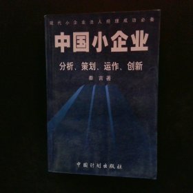 中国小企业:分析、策划、运作、创新