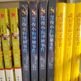 深夜小狗神秘事件（2022版）