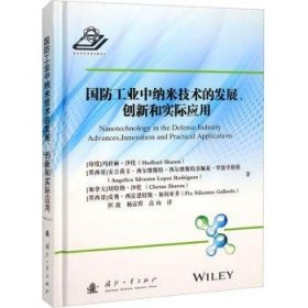 国防工业中纳米技术的发展、创新和实际应用