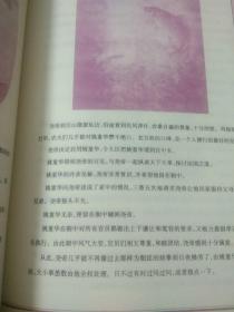 孝经全书
