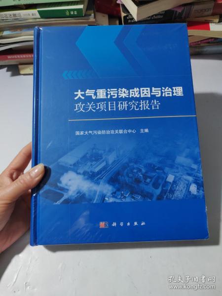 大气重污染成因与治理攻关项目研究报告