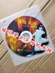 人体艺术 VCD 冰火玫瑰 海边风情(稀缺作品) VCD简装 光盘