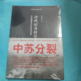 冷战的再转型：中苏同盟的内在分歧及其结局