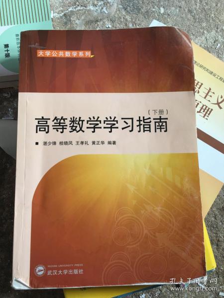 大学公共数学系列：高等数学学习指南（下册）