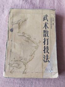 武术散打技法