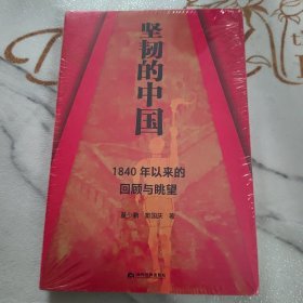 坚韧的中国 : 1840年以来的回顾与眺望