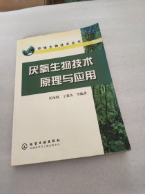 厌氧生物技术原理与应用（环境生物技术丛书）