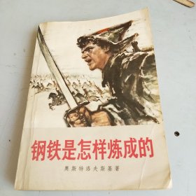 钢铁是怎样练成的（1976一版一印）插图本