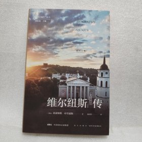 维尔纽斯传——琥珀之城