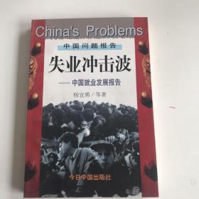 失业冲击波:中国就业发展报告