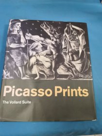 毕加索Picasso: The Complete Vollard Suite Prints Stephen