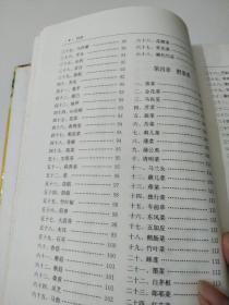 新编果蔬疗法大全