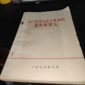 无产阶级*****的继续和深入