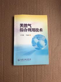 天然气综合利用技术