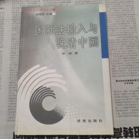 国际法输入与晚清中国——经济社会史研究丛书